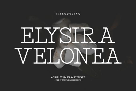 Elysira Velonea: A Serif Font for Timeless Branding