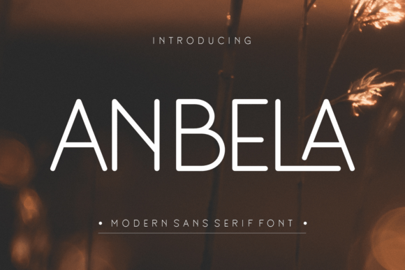 How Anbela Transformed My Brand’s Visual Identity