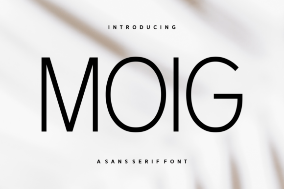 Moig Sans Serif Font for Modern Web Design