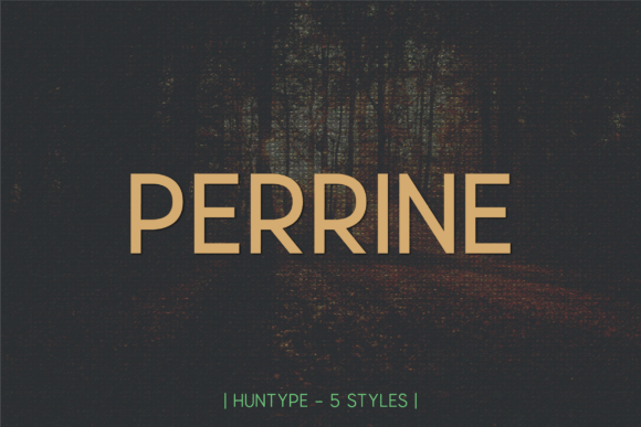 Perrine: A Modern Sans Serif Font for Branding Projects