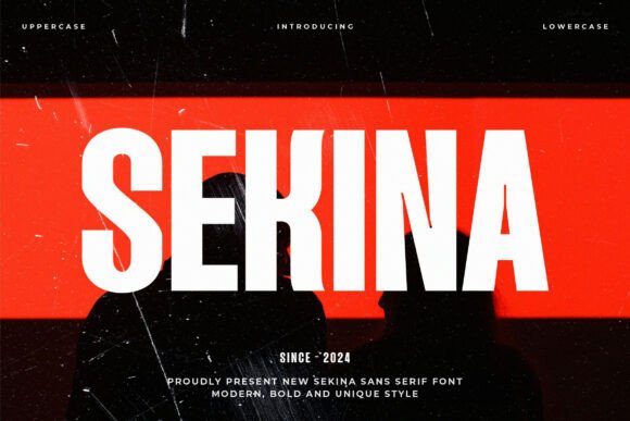 Sekina: A Modern Sans Serif Font for Digital Branding